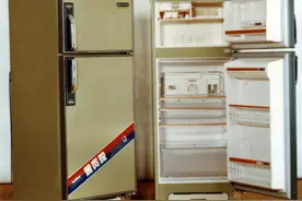 羊城文史｜万宝电器：新中国第一台家用电冰箱在这里诞生图片