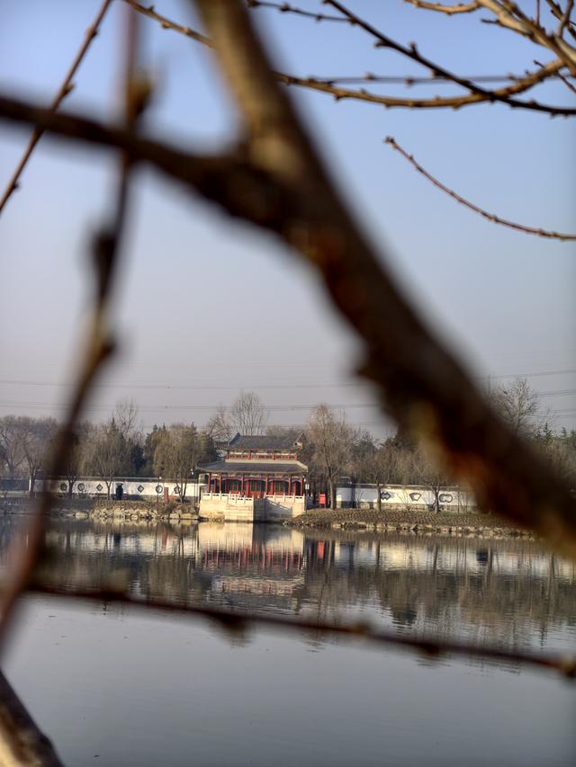 漫步团河行宫遗址公园，享受冬日静谧时光