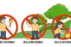 【消防宣传月】森林防火正当时，这些知识要牢记！图片