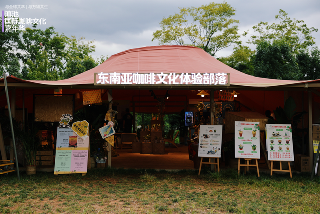 火爆！4天时间，127.25万人次涌入昆明这里→