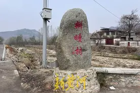 济南一农家乐男孩清明假期路边摇旗揽客，“爸妈很辛苦，想帮他们分担”图片