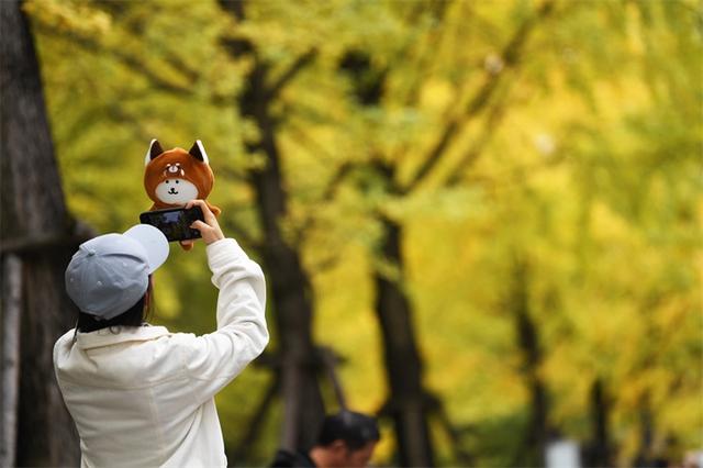 贵阳：初冬时节好风景