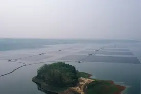（国际·一周看天下）中企承建东南亚最大漂浮光伏项目在印尼并网发电图片