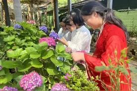 穿越式创作！衢州这群小学生穿汉服在花园找古诗词创作灵感图片