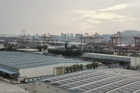 高质量发展调研行|福建厦门：能源自平衡零碳园区的“减碳经”图片