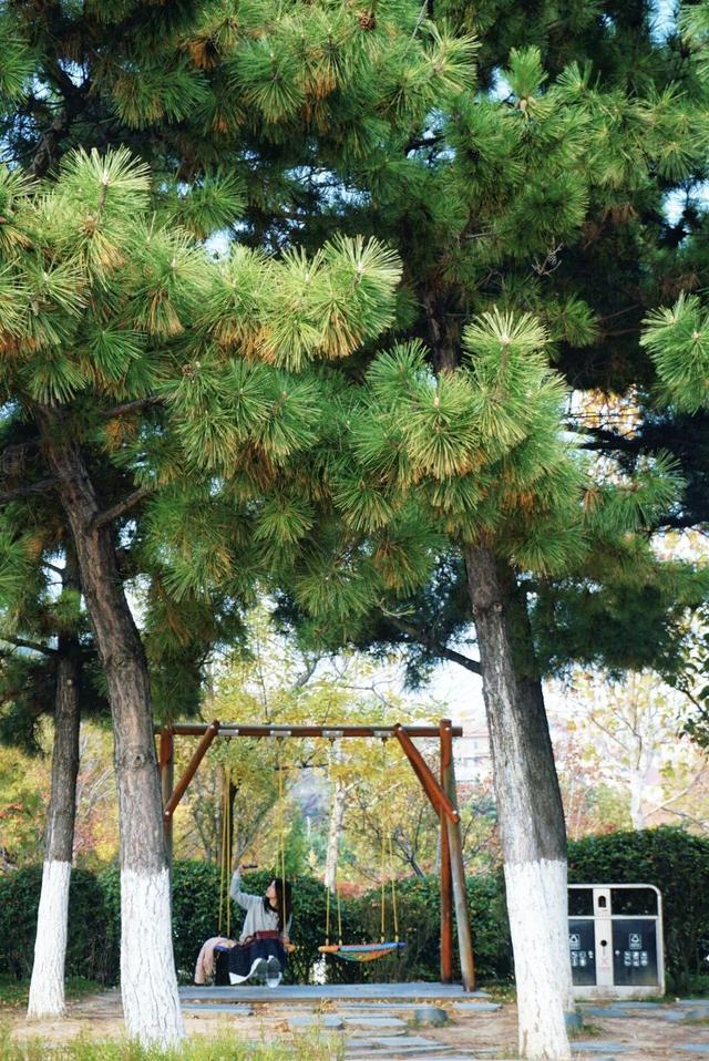 免费又出片！威海人私藏！钓鱼人、秋千、老渔船，治愈力满分～