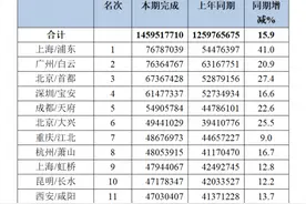 建设中国大腹地，打造内循环主平台图片