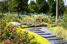 绿道开工48公里，公园开建26处，济南涉绿民生实事办得如何？图片