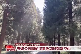 北京进入春季花粉高峰期 “控增量、降浓度”多措并举防治花粉图片