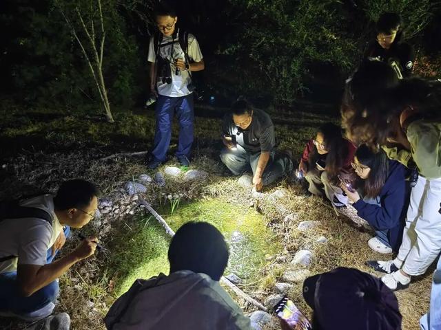 夜晚，我们在公园里“找宝藏”