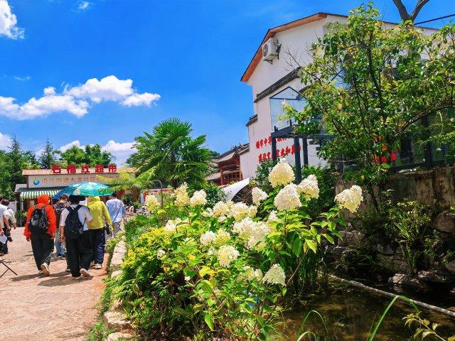 开屏策划｜“云南”牌空调，名声打出去啦！