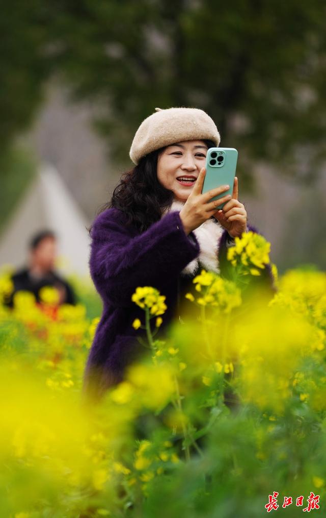 “三八”国际妇女节，灯塔花海游人如织