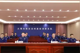 严纪律 强作风 验成效丨大理州森林消防支队严密组织网上队列会操图片