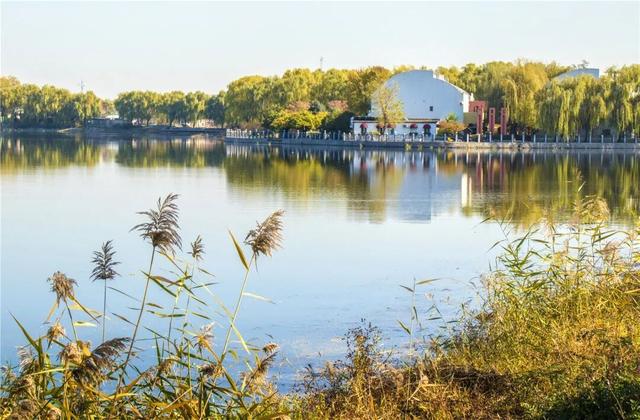 一键Get√氛围感！来这里，将海淀的秋收在镜头中——