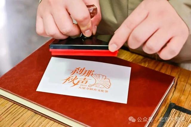 金色瀑布！北京这些千年古银杏正在最佳观赏期！