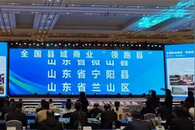 宁阳县上榜首批全国县域商业“领跑县”图片