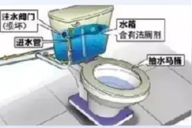 市民反映自来水变蓝？可能是这个原因图片