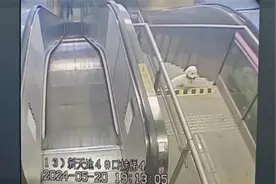 迷路小狗徘徊地铁站，民警暖心安抚找到主人图片