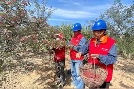 优质服务赋能乡村振兴 电力护航助力农业腾飞图片