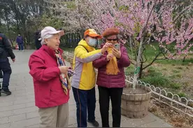 玉渊潭清明假期迎客流高峰，多方联动守护文明风景线图片