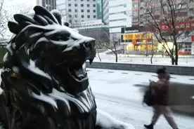 雪后大降温！寒潮预警！多条高速封闭！辽宁省交通厅重要部署！沈阳这场雪下到……图片