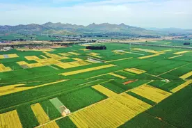 绿色农产品“链”上深加工 朝阳市做好农业增值文章图片