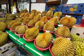 又到一年“榴莲季”，一起去尝鲜→图片