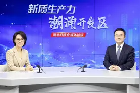 武汉经开区：10km²→ 500km² 他们拿下整个产业链……图片