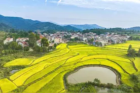 实施“双城驱动” 聚焦“一环三线”——大悟县全力争创全国乡村振兴示范县图片