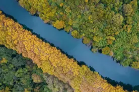 秋冬，贵阳这座“爱乐之城”和你更适配！图片