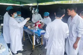 马拉松选手突发晕厥，省县紧急医学救援队联手开辟生命通道图片