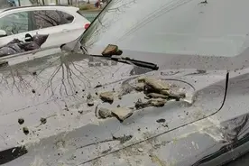 合肥一小区外墙脱落砸中楼下新车 车主发愁：损失过万谁来承担图片