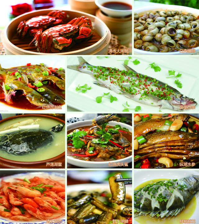 辞家千里又千里，盐城想你很想你