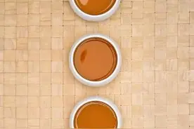 校园达人·吾爱吾乡 | 郭子鸣：品岭南工夫茶图片