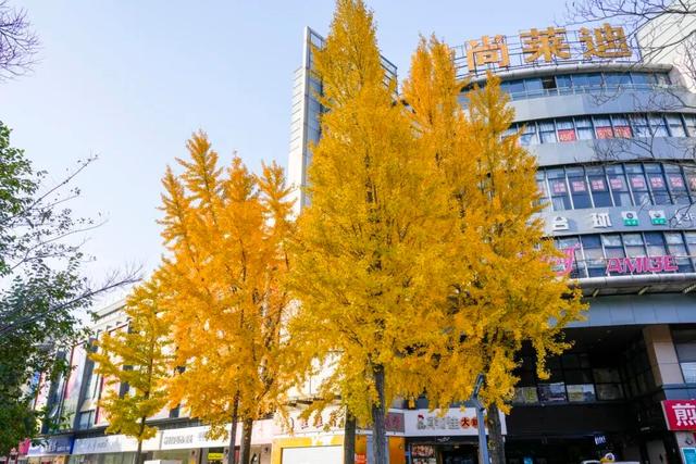 出片率100%！海陵“含金量”在上升！