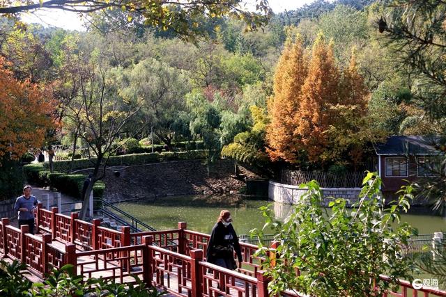 无需远行，来青岛这里尽享斑斓美景