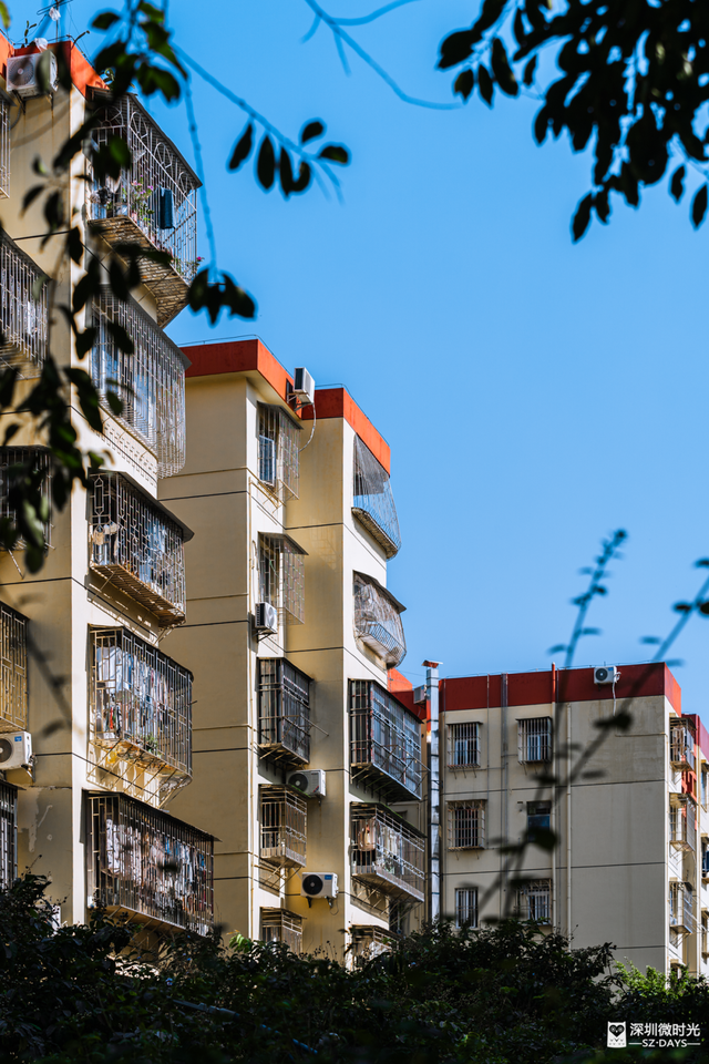 一条荔园路，多少蛇口人的前半生