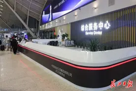 今年春运，武汉站有这些变化图片