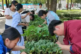 技能大赛展风采 农学学子绽芳华——宜城职高农学专业技能比赛图片