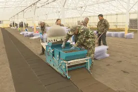 柳河县：抢抓农时推进水稻育苗 科技赋能夯实丰产基础图片