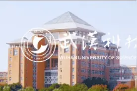 武科大2024年硕士研究生复试及录取工作方案图片