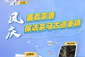 霞客行之江山多娇·游学云南丨凤庆：循着茶香 探访茶马古道重镇图片