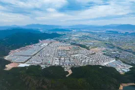 深读丽水丨“地瓜经济”给莲都带来了什么图片