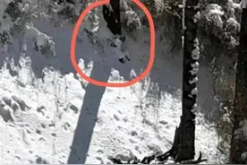 两女子登秦岭失联5日，一人遇难，驴友高山穿越需量力而行图片