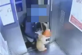 外卖员送餐途中抓猫从楼顶扔下摔死？长沙警方：正在调查图片