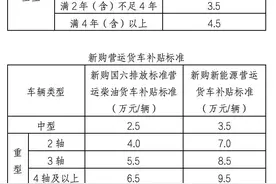 最新补贴来了！海南这类汽车最高可领9.5万元/辆→图片