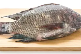 洗鱼被刺了一下，差点被截肢？杭州女子发烧到39.7℃，医生提醒：死亡率极高图片