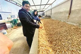 从北京高校毕业后 他们在保定当上乡村CEO图片