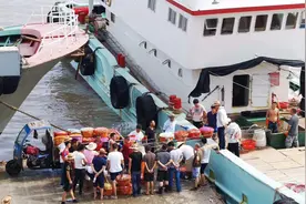 秋天第一口东海梭子蟹！3-4两规格“尝鲜价”40元/斤，等等还能更便宜图片