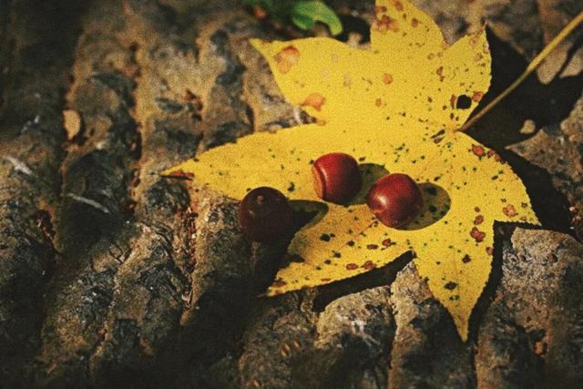 对对对！在山里喝咖啡就去那个地方！